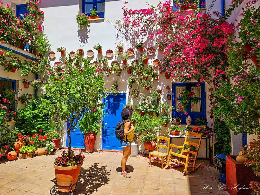 Cordoba where to stay among patios. Me looking at colorful flowers draped down a wall around bluepainted windows and doors.