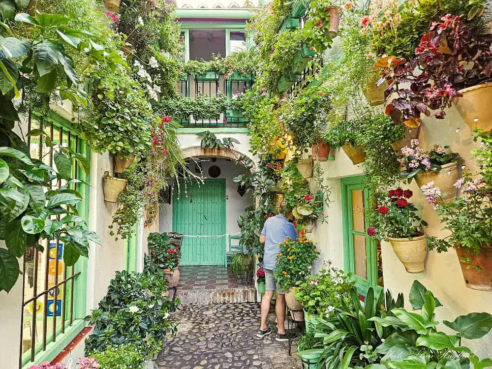 Patios in Cordoba