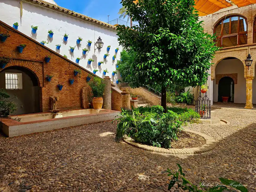 Zoco Municipal patio