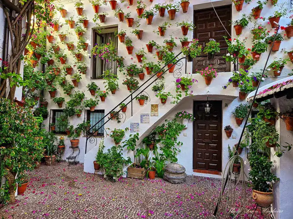 best patios in Cordoba