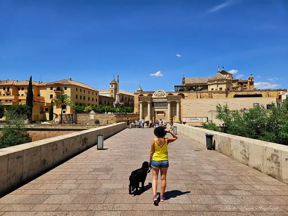 best tours in Cordoba Spain