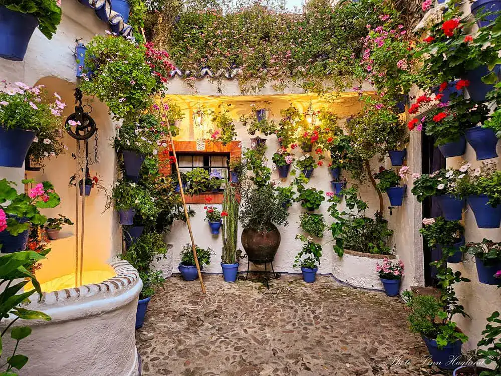 patio in Cordoba