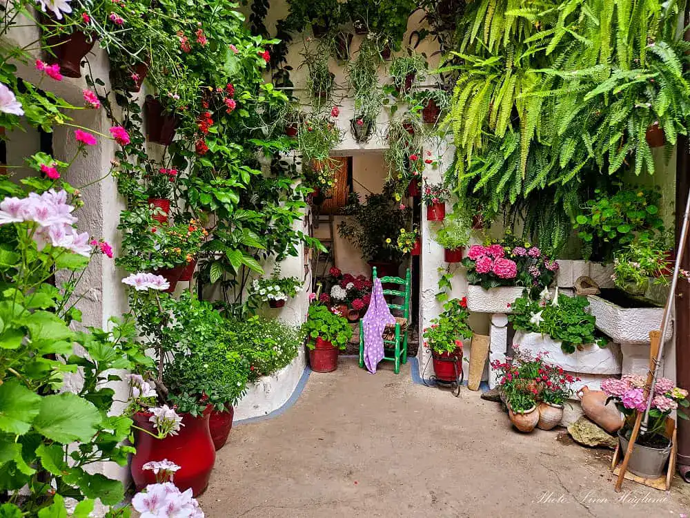 patios in Cordoba Spain