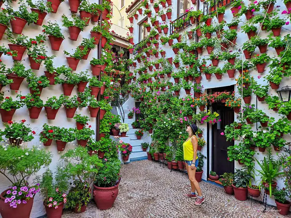 the patios of Cordoba