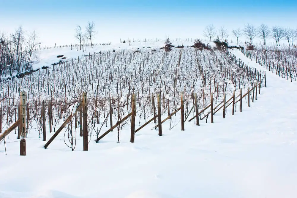 Tuscany in the winter