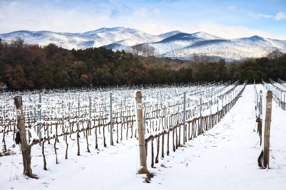 winter Tuscany