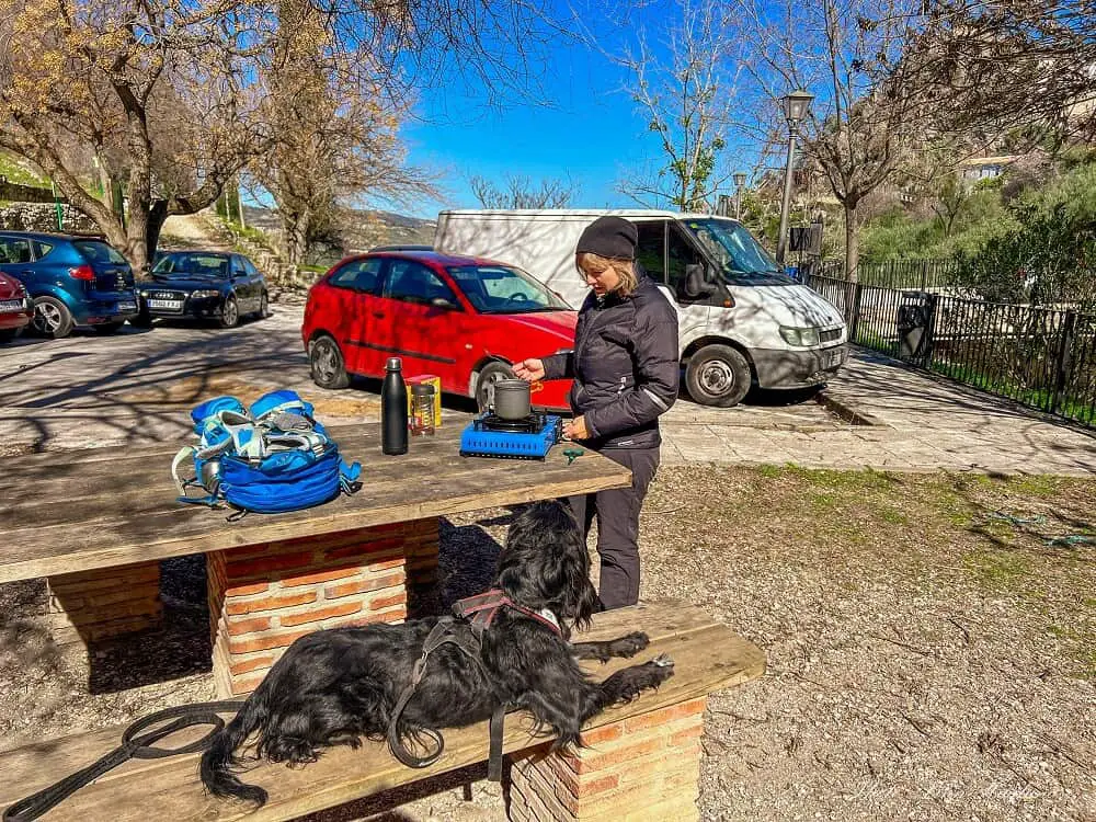 campervanning with dogs