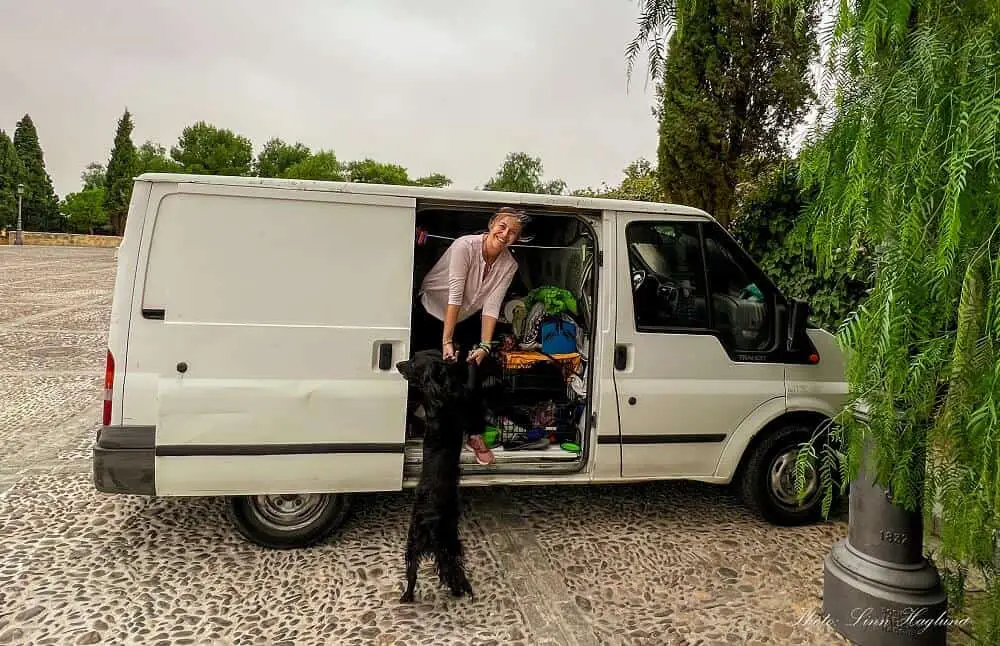 van life with dogs