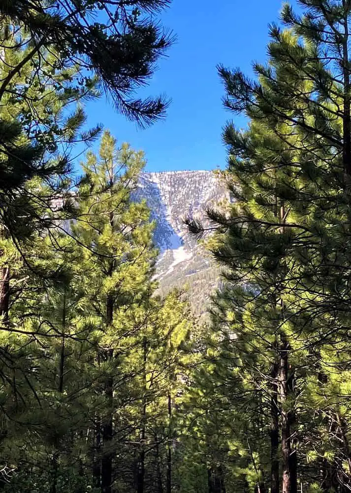 winter vegas - Mt. Charleston