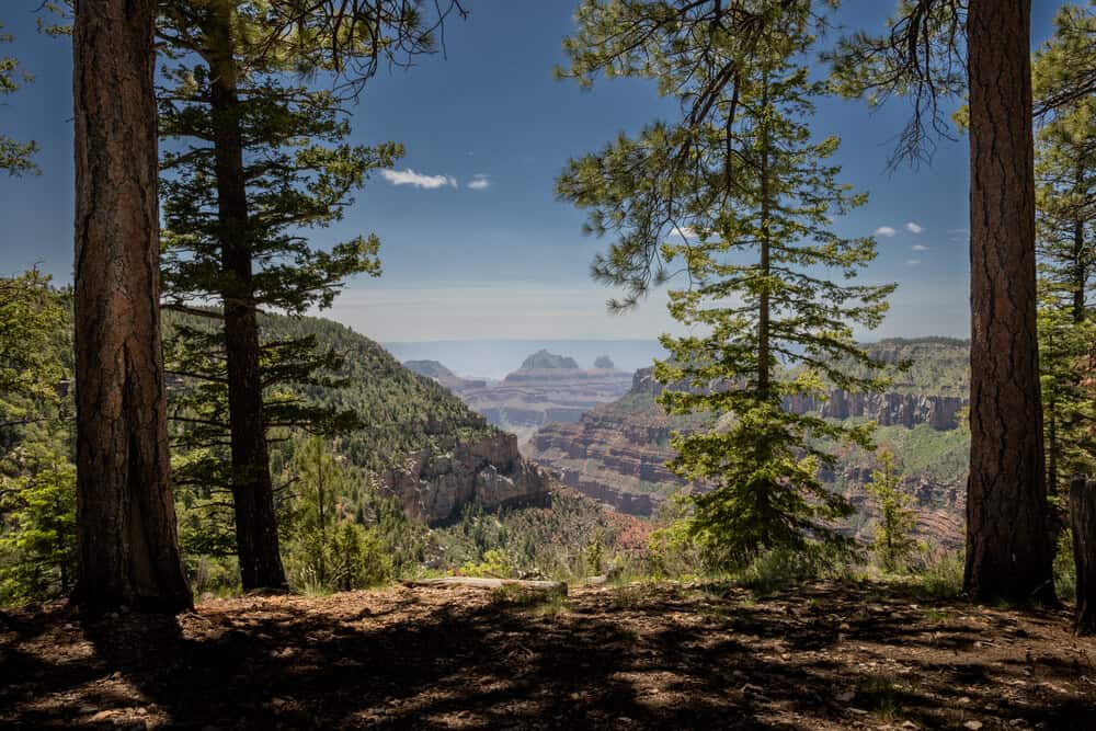 best hikes in North Rim Grand Canyon - Widforss Trail