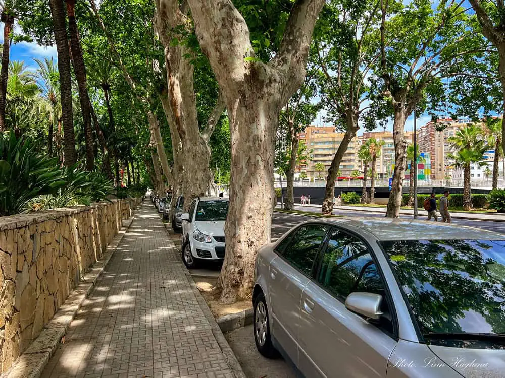 Cars parked in a street with free parking in Malaga.