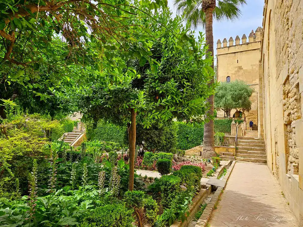 how to get tickets Alcazar Cordoba - beautiful gardens