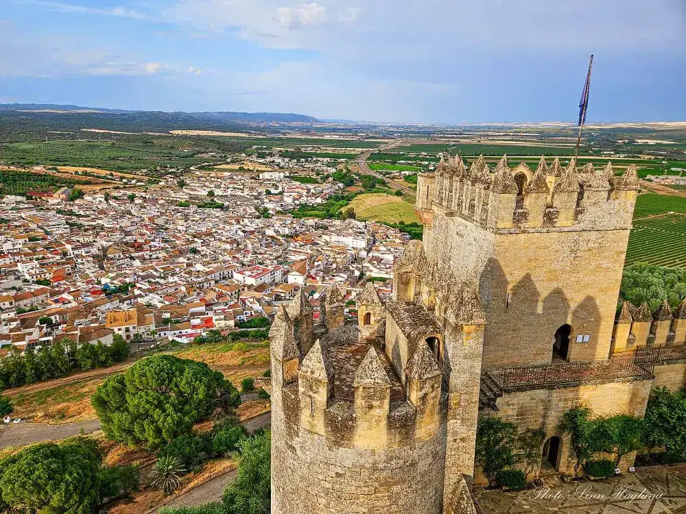 Almodovar views