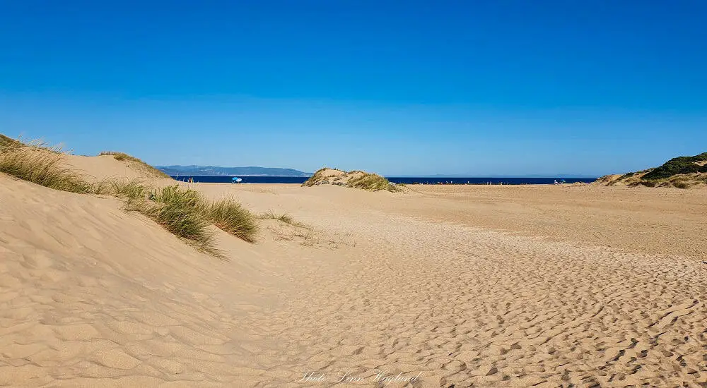 Dunes leading down to Los Caños de Meca Beach on a warm, sunny day. This is one of the most popular beaches near Seville for the summer months among the locals.