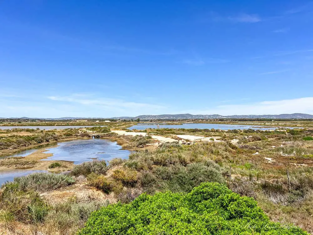 Marshlands seen at the Ludo Trail in Faro.