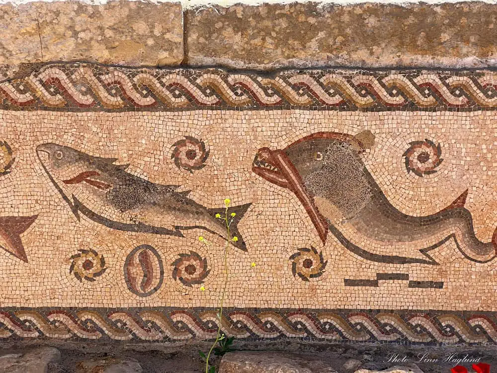 Old Roman Mosaics of fish.