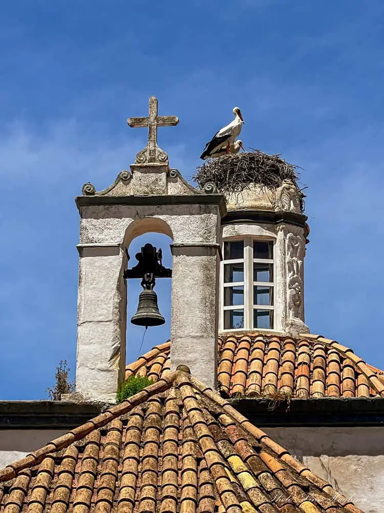 Storks sitting on top of a church in Faro.