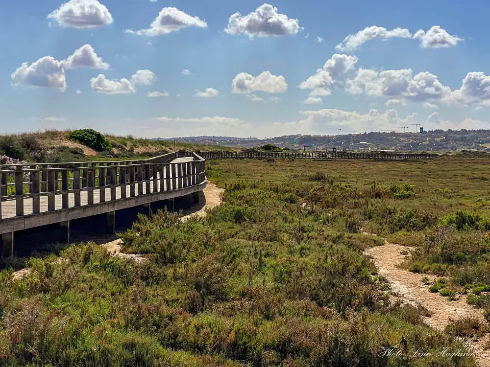 boardwalk in Alvor Algarve Portugal.