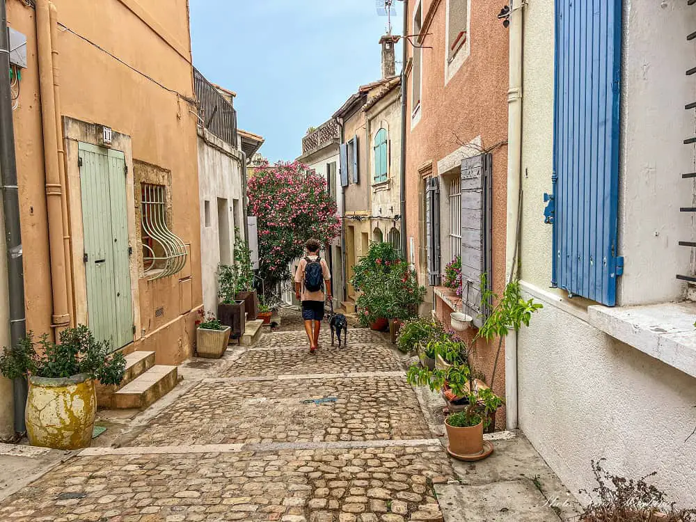 Mohammed and Atlas walking in a cute, cobblestoned street with pot plants in Arles.