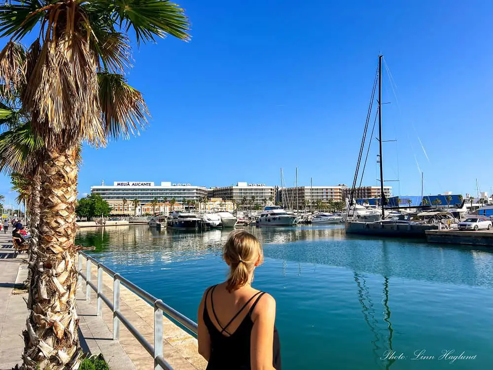 Me looking out at Alicante Marina.