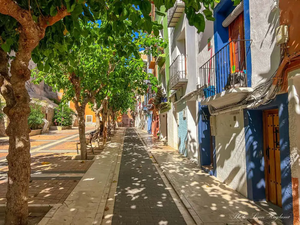 Treel and colorful buildings lining Pal Street Villajoyosa Alicante.