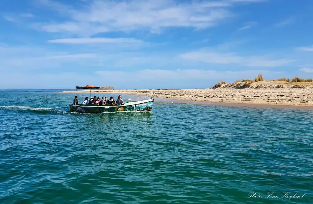 A boat full of tourists, on a sunny day, is headed towards a barrier island in Ria Formosa Natural Park that looks wild and sandy. This is one of the best boat tours in Faro to experience the Ria Formosa Natural Park in eastern Algarve, Portugal, by water.