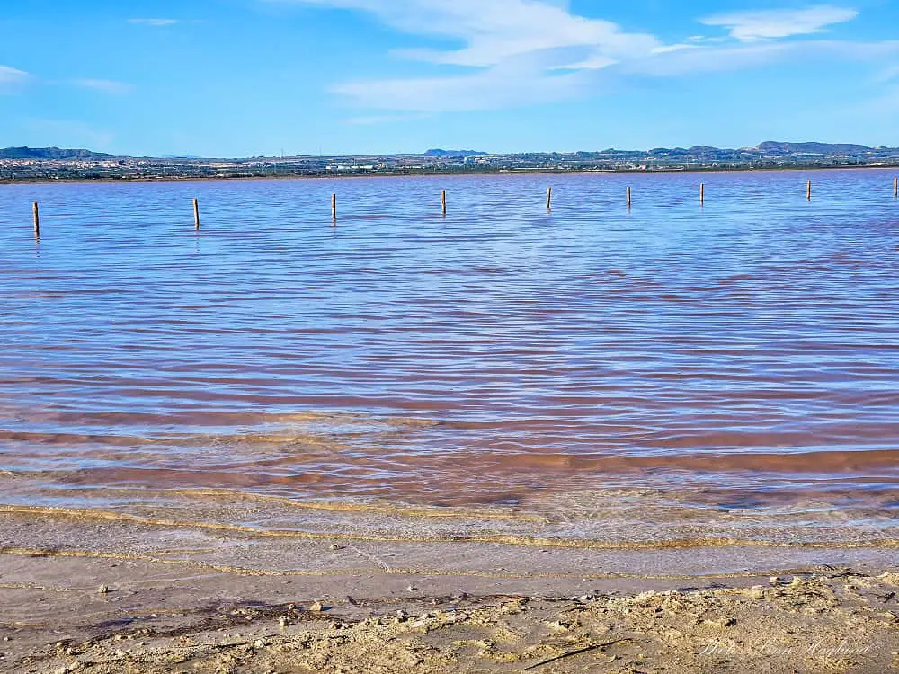 Pink Lake in Torrevieja Spain.