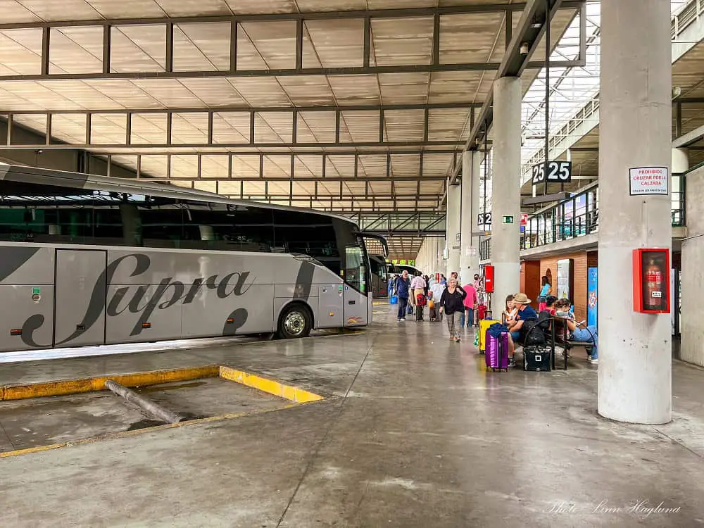 Seville Airport to city center bus.