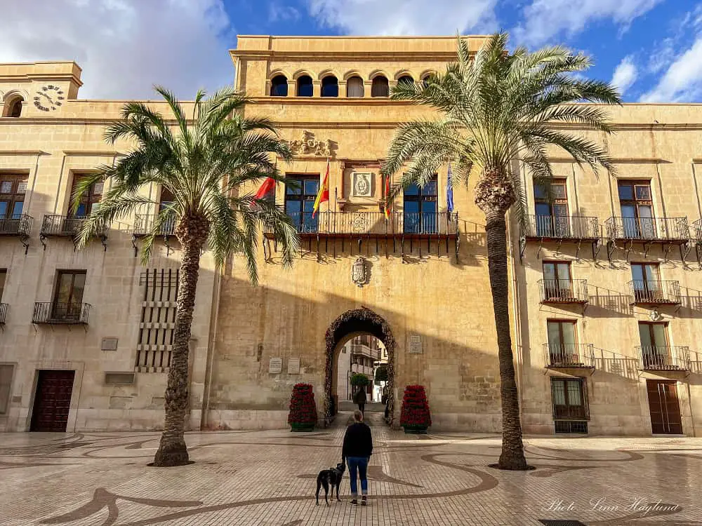 Me and Atlas looking at old buildings in Elche Old Town.