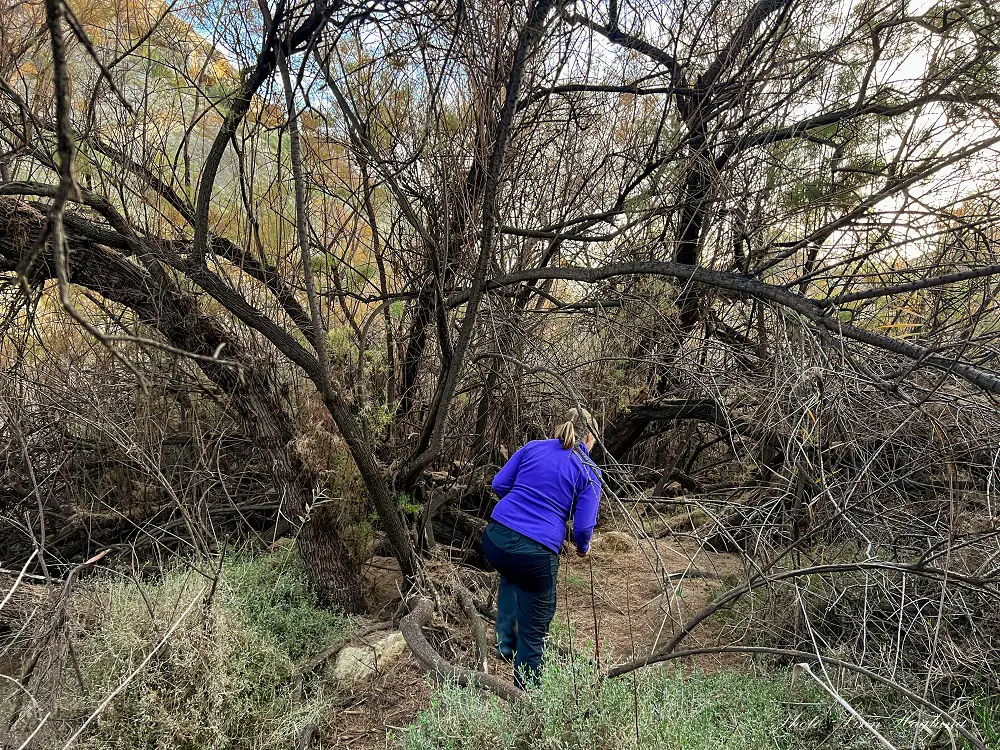 Me hiking through dense forest in Elche Spain.