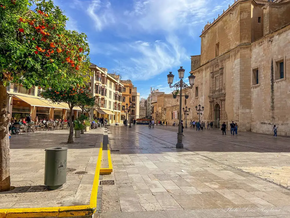 Square in Elche with orangre trees and restaurants in front of the basilica.