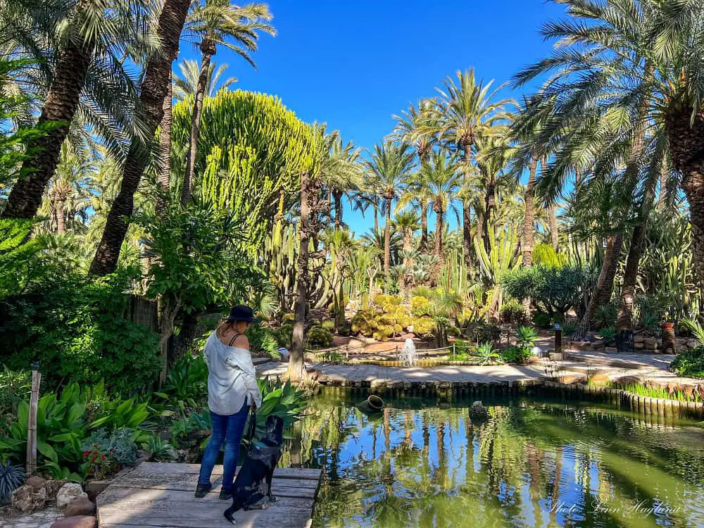 Me and Atlas surrounded by palm trees in front of a pond while visiting Huerto del Cura on a day trip to Elche.