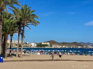 A beach with palm trees and parasols in one of the Towns in Costa Blanca.