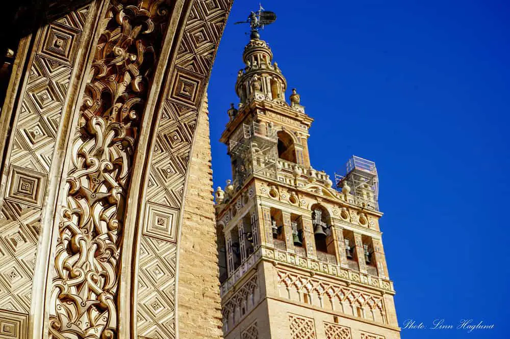 Giralda seen from the orange garden.