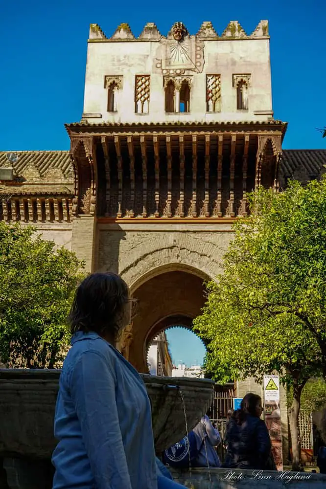 Inside the orange garden of Seville Cathedral.