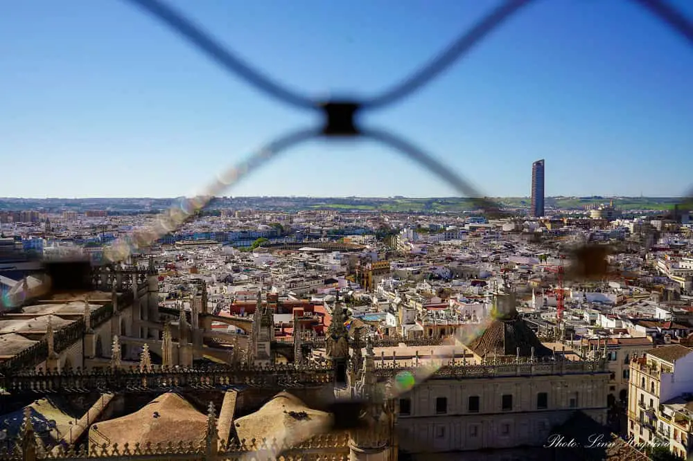 Views from La Giralda in Seville.