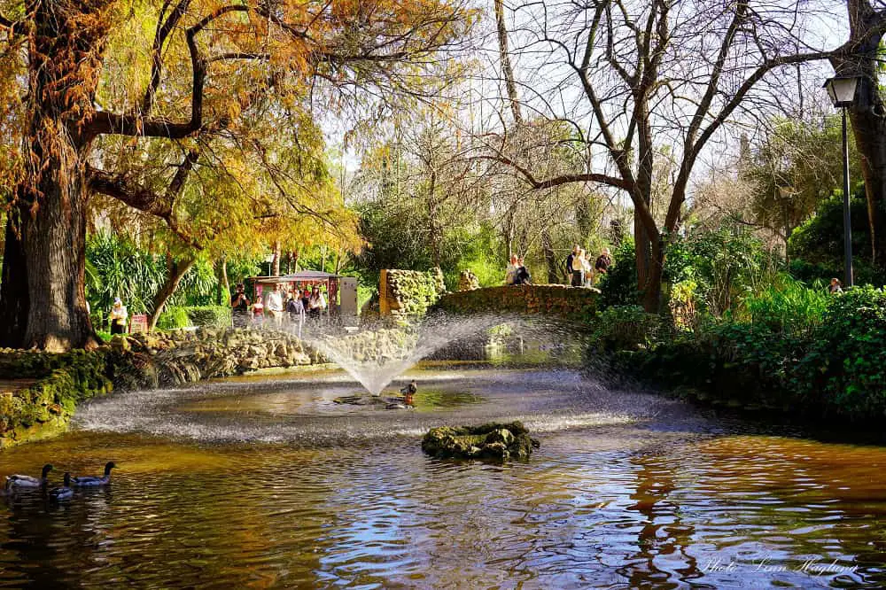Parque Maria Luisa in Seville.
