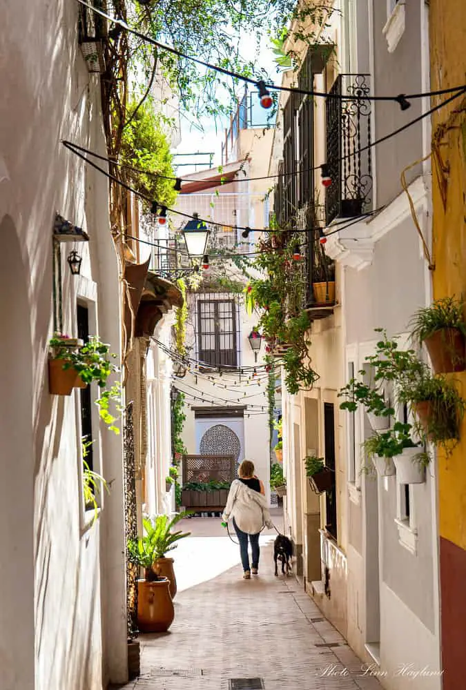 Me and Atlas walking through the narrow Calle Manuel Cancho Moreno street in Badajoz.