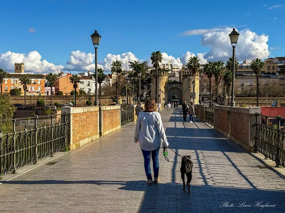 Me crossing Puente de Palmas in Badajoz with my dog Atlas.
