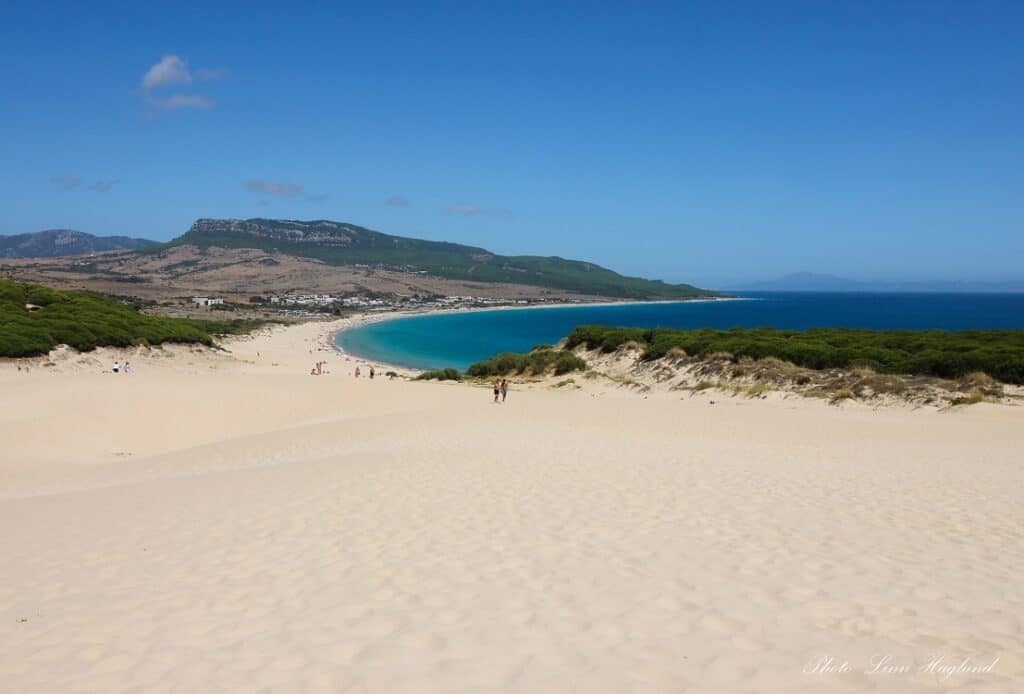Bolonia Beach in Cadiz, Spain, seen from the big dune at the end of the beach. The long, wide, white-sanded beach covers an entire bay with low mountains and pine trees around it.