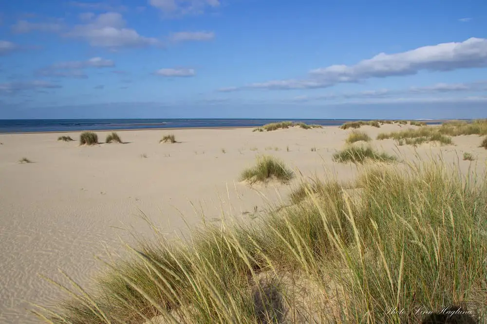 Empty, fine-sanded dunes dotted with grass at La Bota Beach meets the blue sea in Punta Umbria in southern Spain. This is one of the most beautiful wild beaches near Seville and Huelva, and this part of the beach is without any facilities.