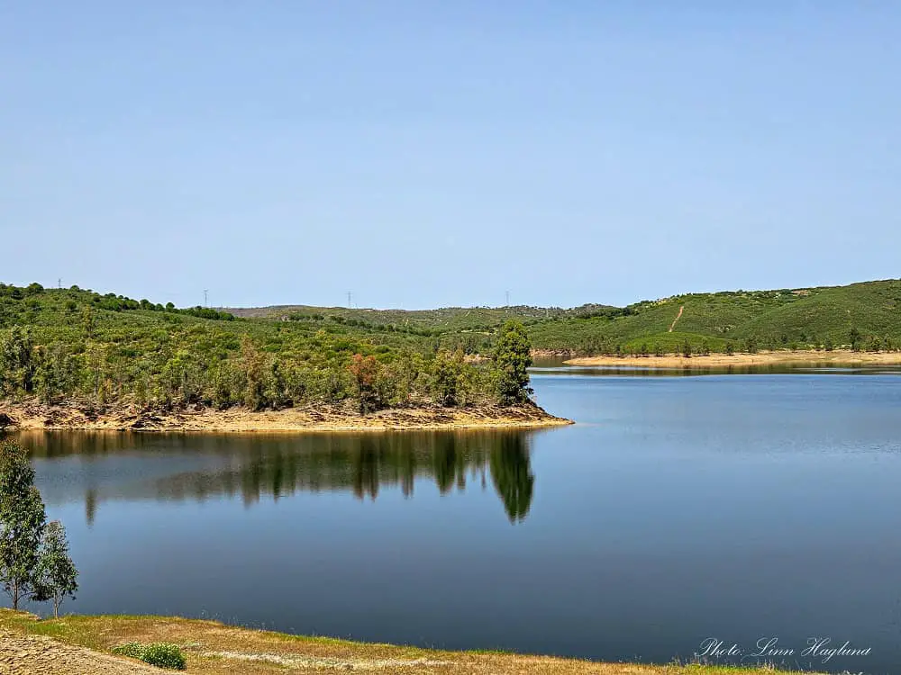 Pine trees mirroring in the Aznalcollar Lake, which is close to Seville, on a sunny day. There's a small, empty beach in the foreground, and on the edge of the water around the rest of the lake, there's a small line of beachy areas between pine trees and clear water.