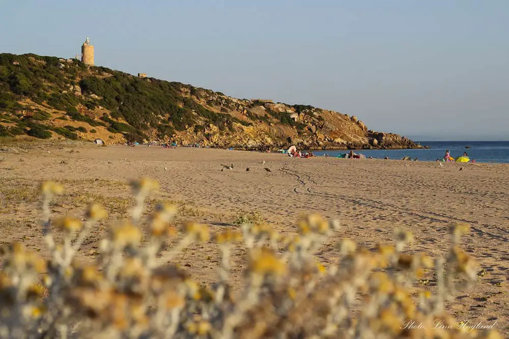 Yellow flowers in the foreground of yellow sand at Los Alemanes Beach, a beautiful beach close to Seville in Andalucia, Spain. At the end, there's a small hill leading into the water with a watchtower built in stone.