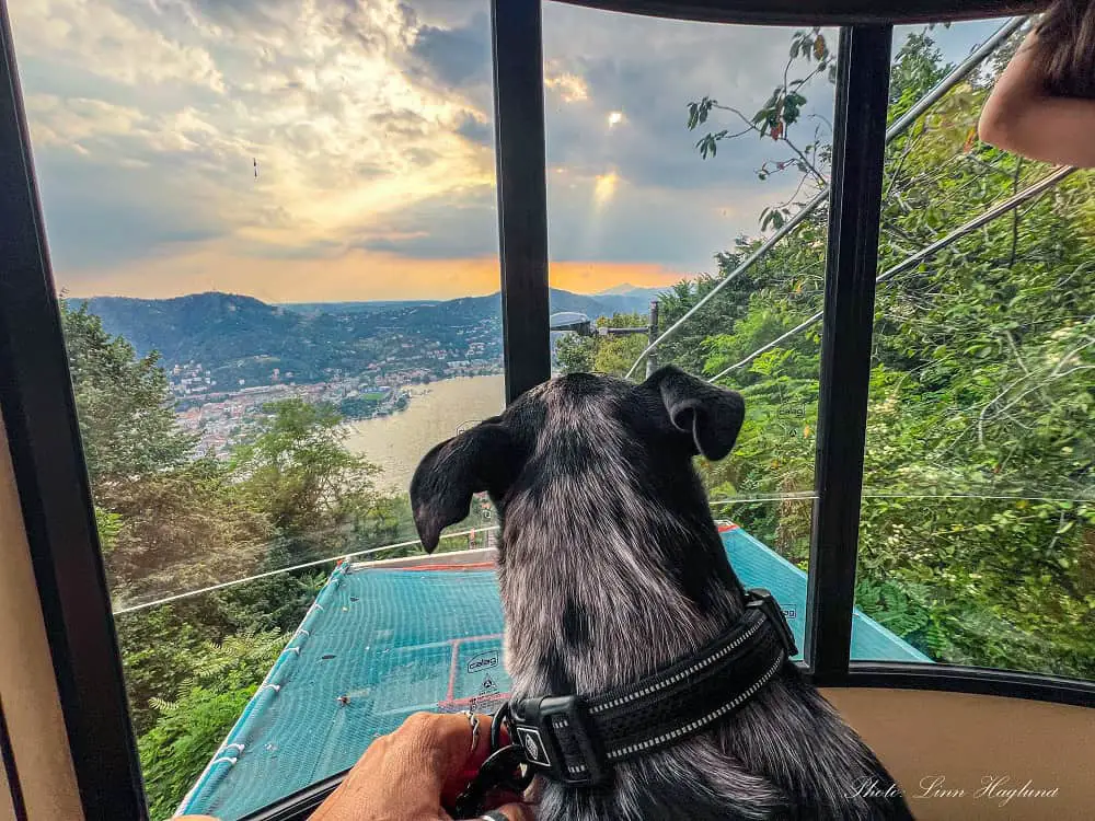 Atlas riding the funicular from Como to Brunate looking at the lakeviews at sunset.