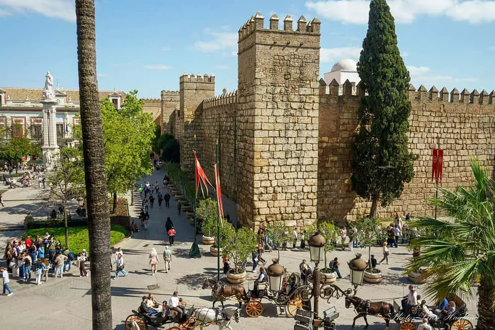 Horse-drawn carriages full of tourists outside the Real Alcazar in Seville Spain. It's a hot, sunny day and it's bad working conditions for the horses walking and standing all day on the cobbled streets.